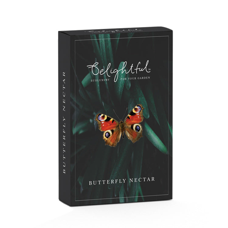 How to attract butterflies? - Belightful Design